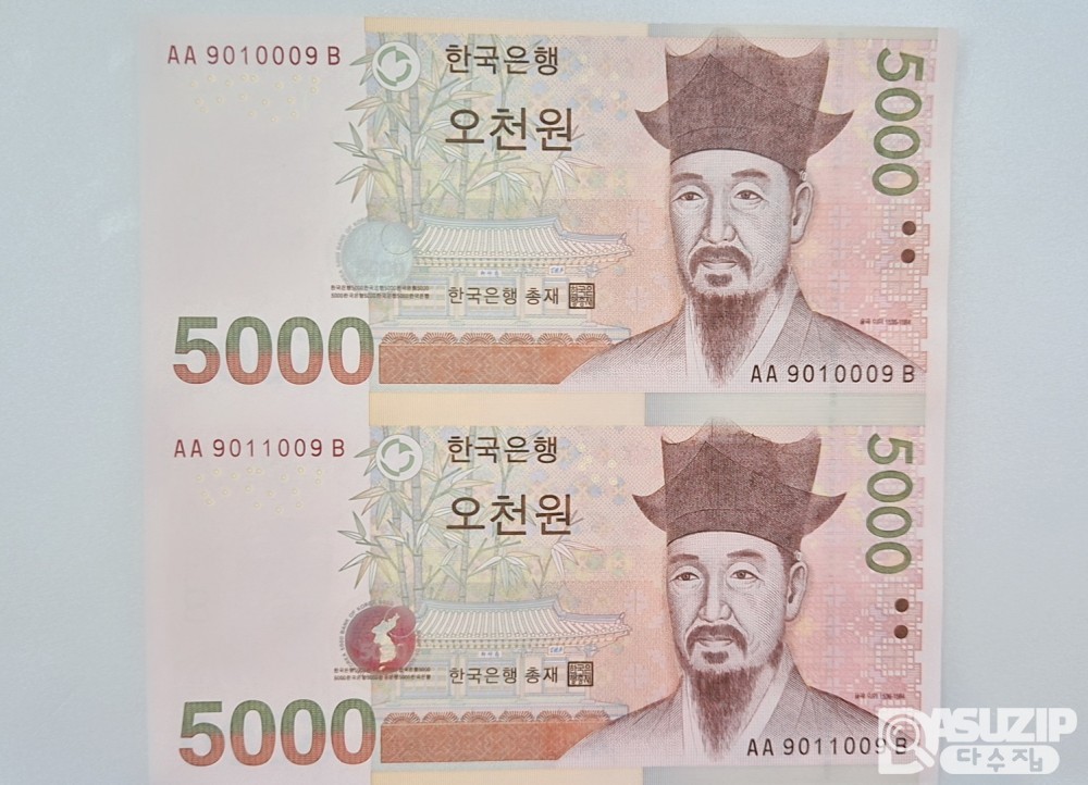 누드 지폐: 5차 오천원 2면부