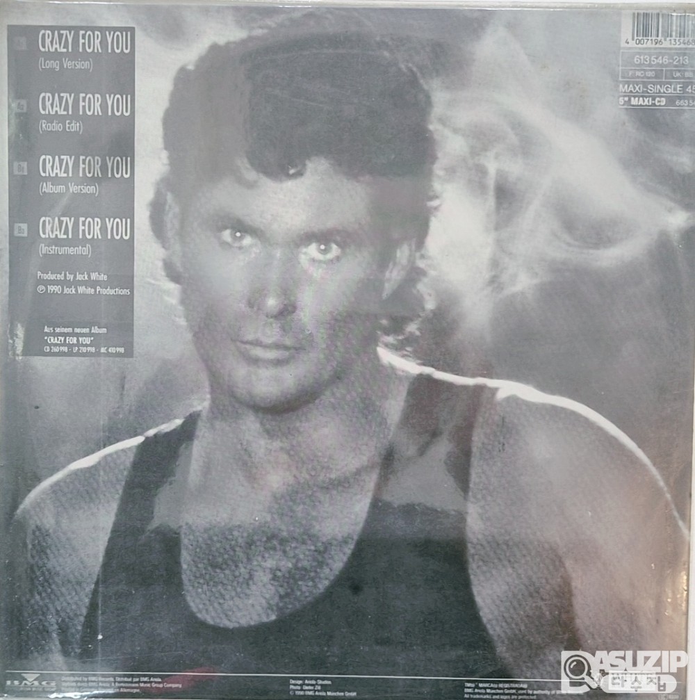 1990년 데이비드 핫셀호프의 앨범 'Crazy for You'