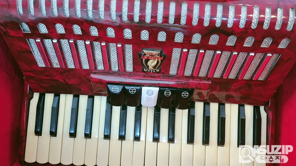 1960년대 앵무새(Parrot) 아코디언